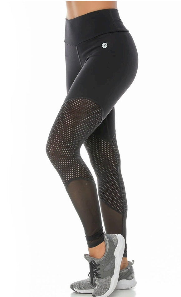 A Hollis Mesh Insert  Legging