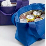 Insulated Lunch Tote with Free Koozie